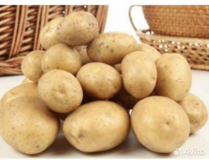 Картофель Бриз