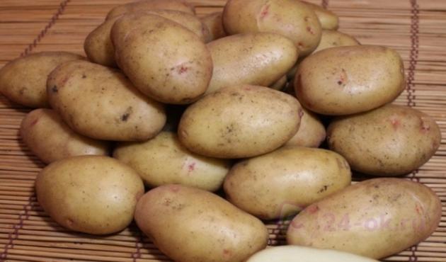 Картофель Детскосельский