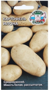 Картофель Илона