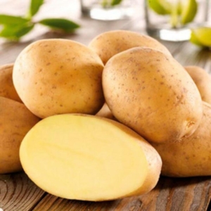 Картофель Импала