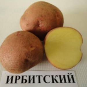 Картофель Ирбитский