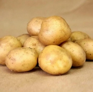 Картофель Капризе