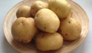 Картофель Каратоп