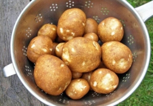 Картофель Киви
