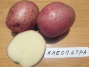 Картофель Клеопатра