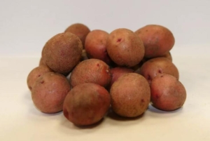 Картофель Краса Мещеры