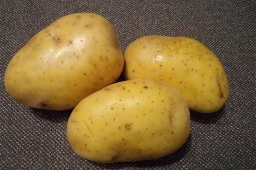 Картофель Кроне