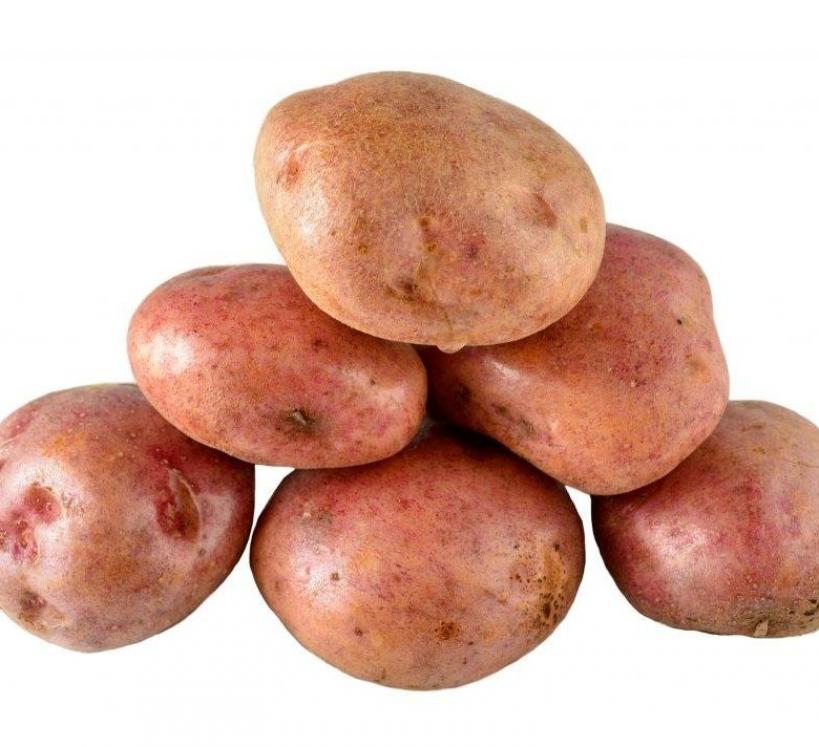 Картофель Кураж 2