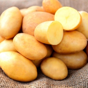 Картофель Ласунок