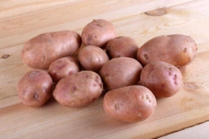 Картофель Маг