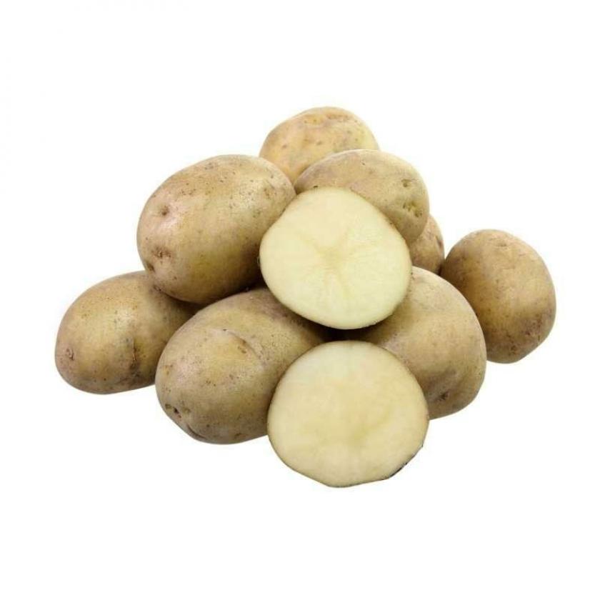 Картофель Мастак
