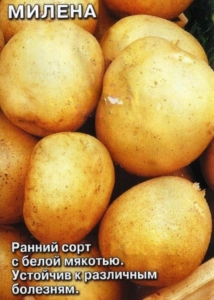 Картофель Милена