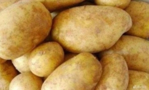 Картофель Нара