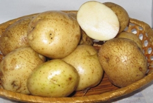 Картофель Никулинский