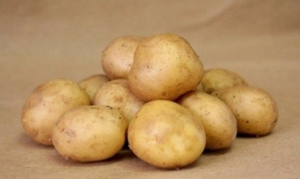 Картофель Оскар