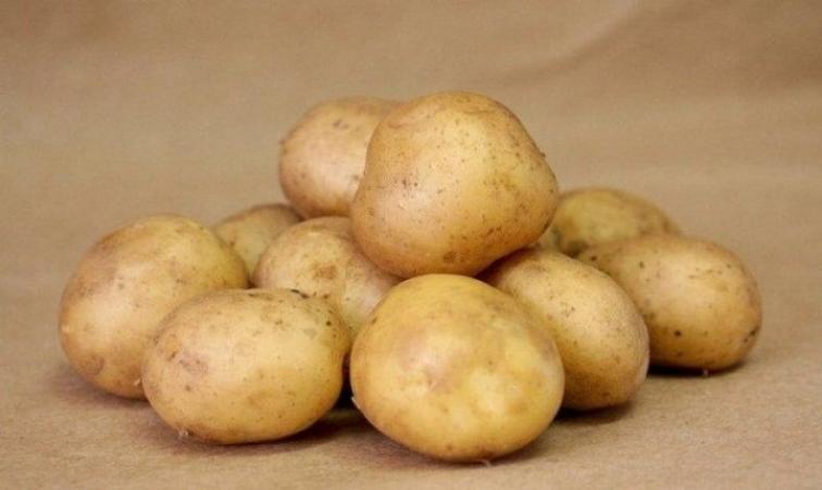 Картофель Оскар