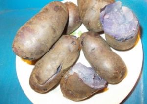 Картофель Салблю