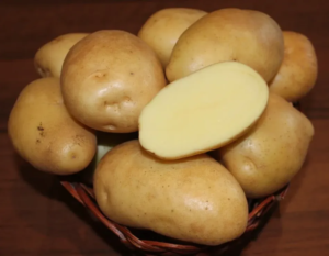 Картофель Жигулевский