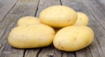 Вопрос про Картофель Золушка
