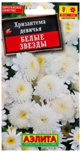 Хризантема Белые звезды