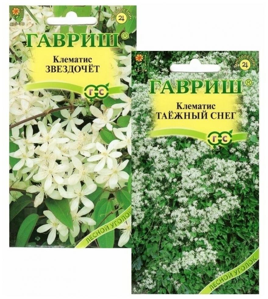 Клематис Таежный снег 2