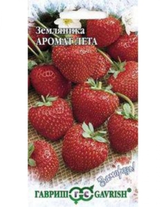 Клубника Аромат лета