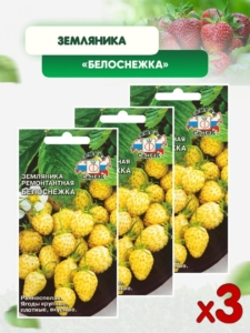 Клубника Белоснежка