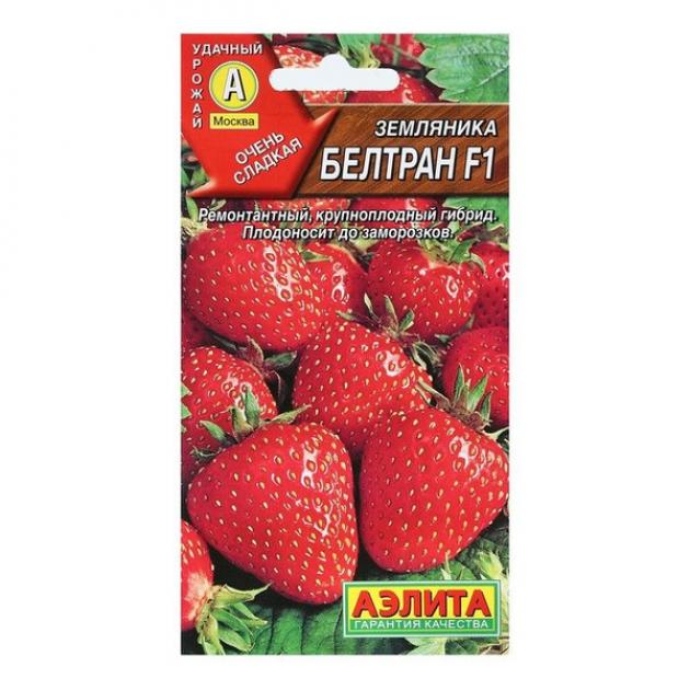 Клубника Белтран 2