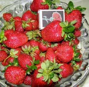 Клубника Мамочка