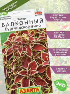 Колеус Бургундское вино