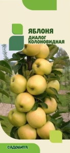 Колонновидная яблоня Диалог
