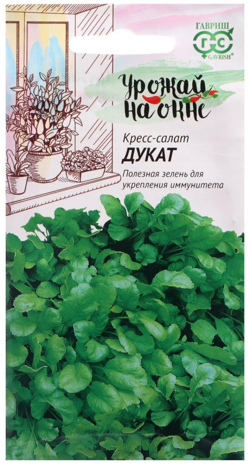 Кресс-салат Дукат 2