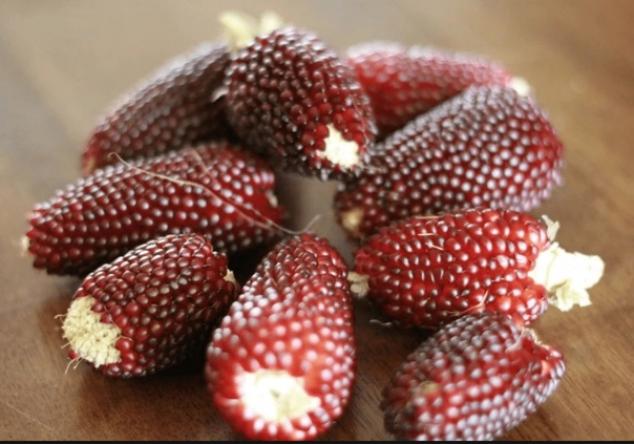 Кукуруза Земляничная 3