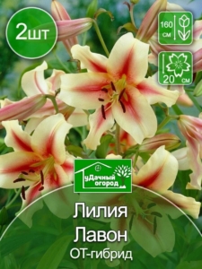 Лилия Лавон