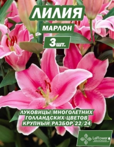 Лилия Марлон