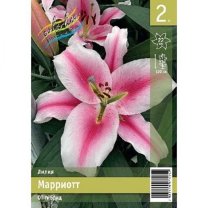 Лилия Марриотт