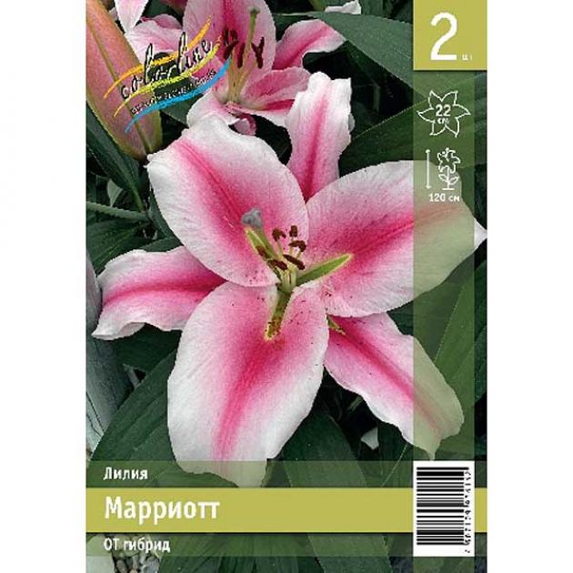 Лилия Марриотт