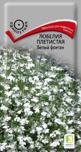 Лобелия Белый фонтан