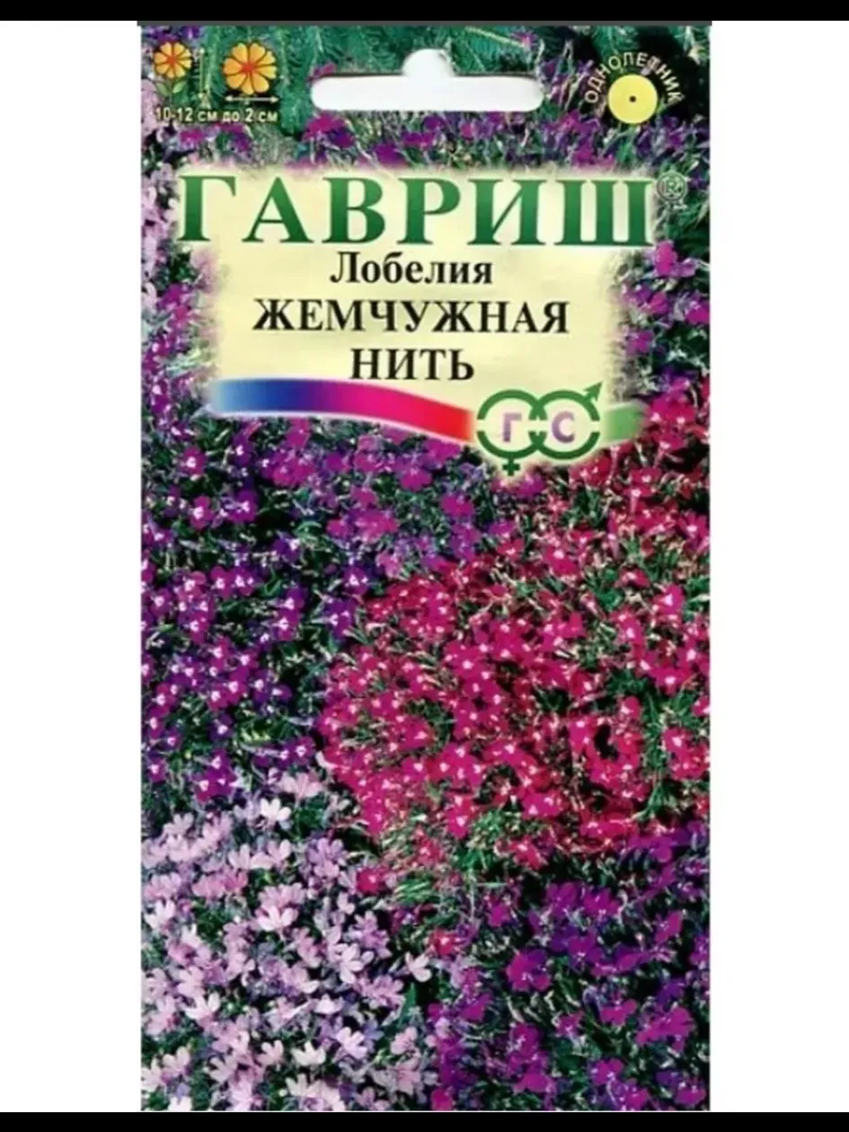 Лобелия Жемчужная нить