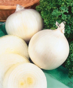 Лук Авалон