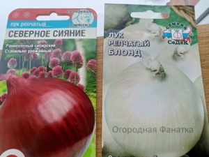 Лук Блонд