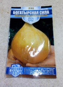 Лук Богатырская сила