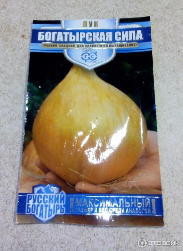 Лук Богатырская сила
