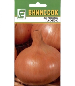 Лук Глобус
