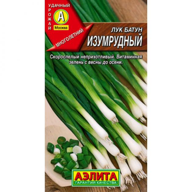 Лук Изумрудный 2
