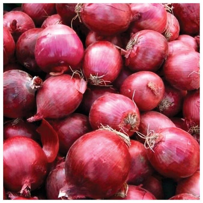 Лук Камелот