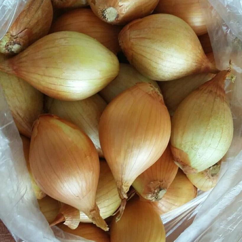 Лук Хеленас