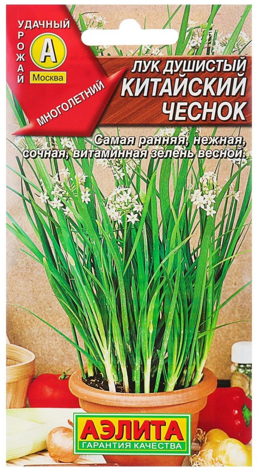 Лук Китайский чеснок