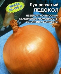 Лук Ледокол