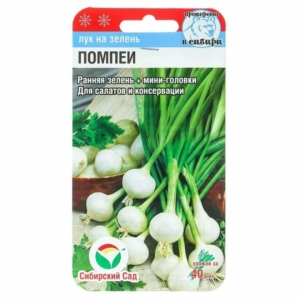 Лук Помпеи